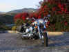 Harleyfront2005headlight.jpg (88861 bytes)